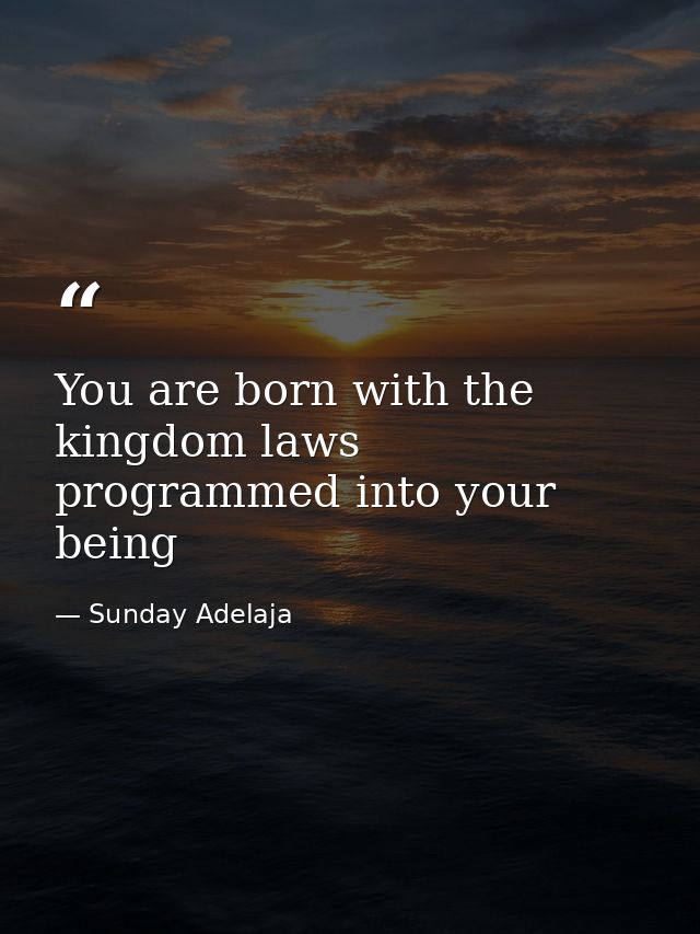 You are born with the kingdom laws programmed into your being — Sunday Adelaja