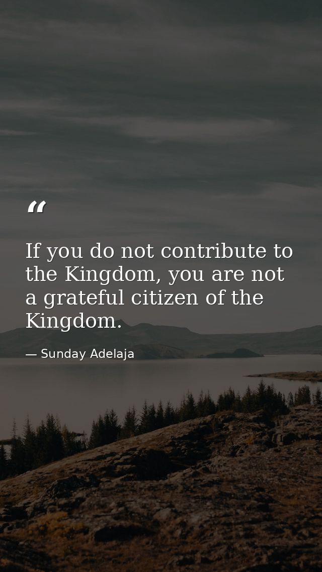 If you do not contribute to the Kingdom, you are not a grateful citizen of the Kingdom. — Sunday Adelaja