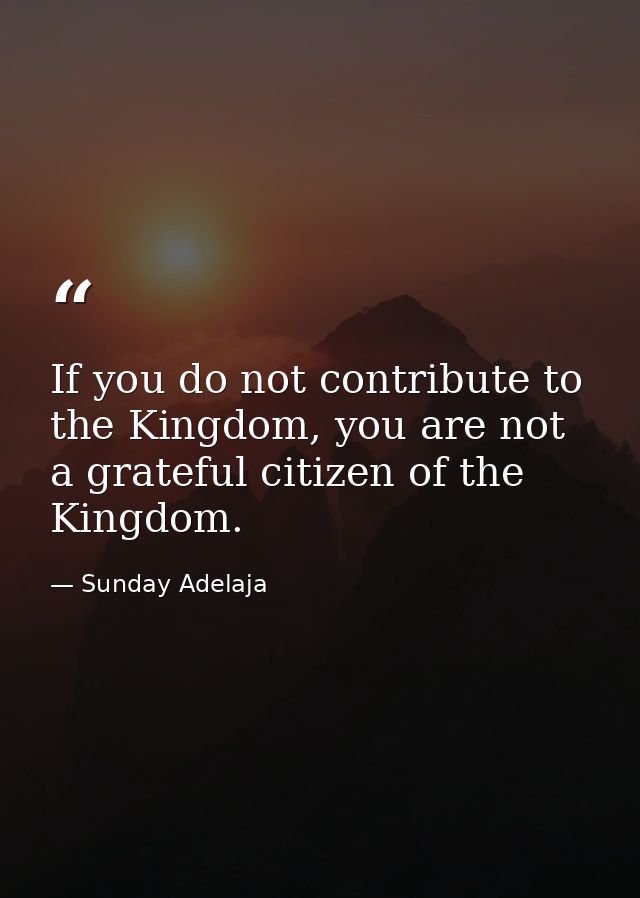 If you do not contribute to the Kingdom, you are not a grateful citizen of the Kingdom. — Sunday Adelaja