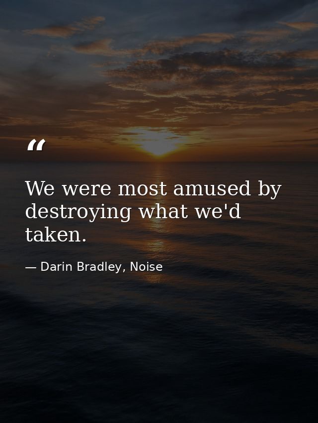 We were most amused by destroying what we'd taken. — Darin Bradley, Noise
