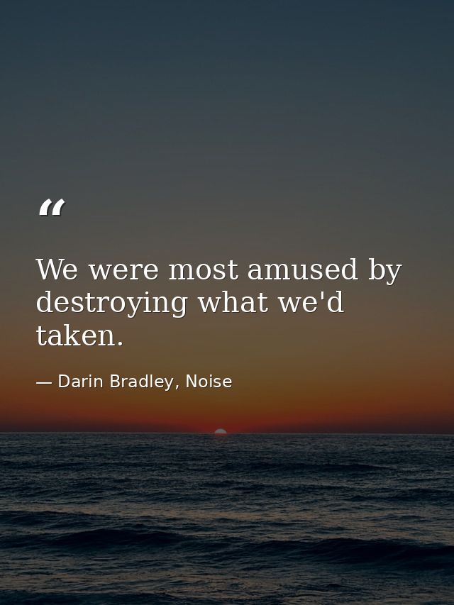 We were most amused by destroying what we'd taken. — Darin Bradley, Noise