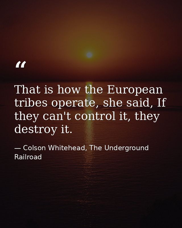 That is how the European tribes operate, she said, If they can't control it, they destroy it. — Colson Whitehead, The Underground Railroad