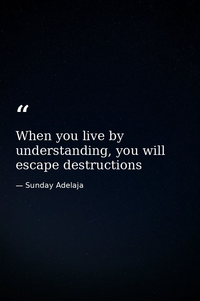 When you live by understanding, you will escape destructions — Sunday Adelaja