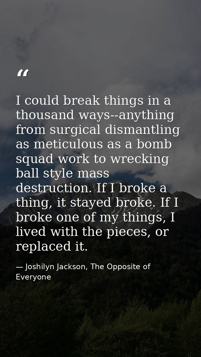 I could break things in a thousand ways--anything from surgical dismantling as meticulous as a bomb squad work to wrecki — Joshilyn Jackson, The Opposite of Everyone