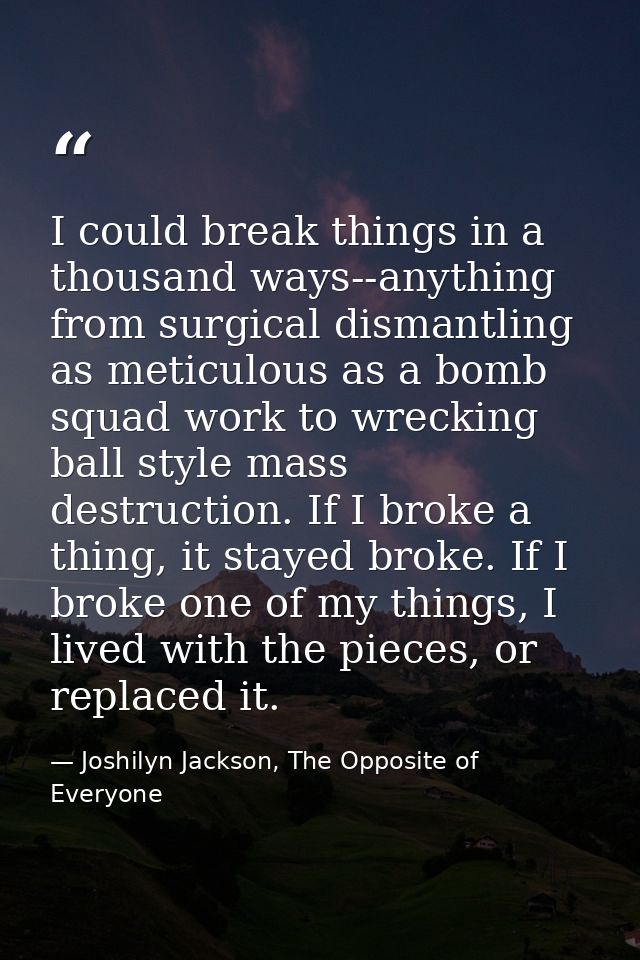 I could break things in a thousand ways--anything from surgical dismantling as meticulous as a bomb squad work to wrecki — Joshilyn Jackson, The Opposite of Everyone