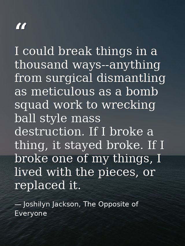 I could break things in a thousand ways--anything from surgical dismantling as meticulous as a bomb squad work to wrecki — Joshilyn Jackson, The Opposite of Everyone