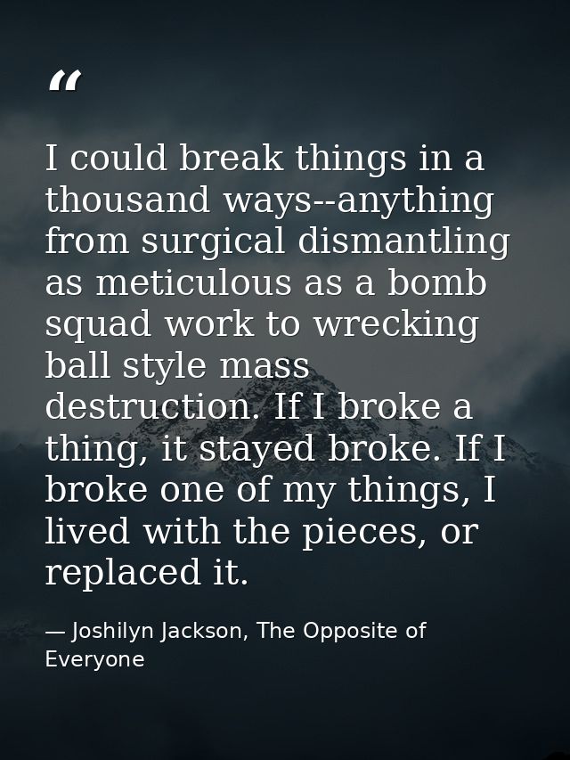 I could break things in a thousand ways--anything from surgical dismantling as meticulous as a bomb squad work to wrecki — Joshilyn Jackson, The Opposite of Everyone