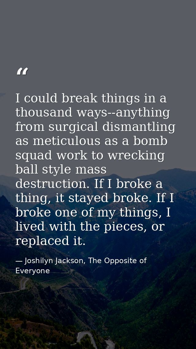 I could break things in a thousand ways--anything from surgical dismantling as meticulous as a bomb squad work to wrecki — Joshilyn Jackson, The Opposite of Everyone