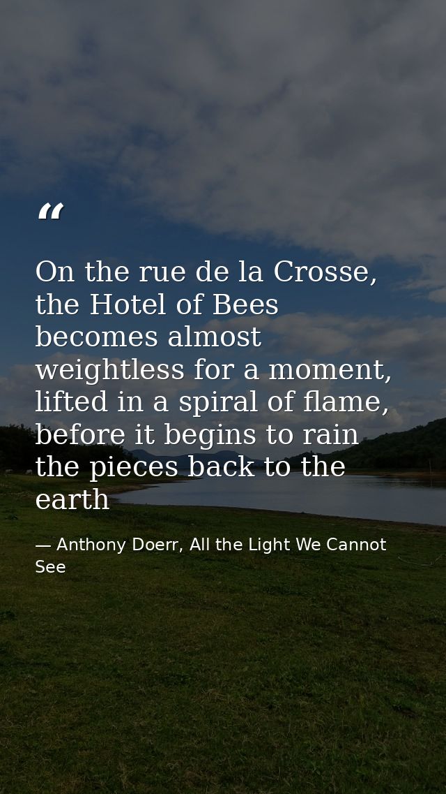 On the rue de la Crosse, the Hotel of Bees becomes almost weightless for a moment, lifted in a spiral of flame, before i — Anthony Doerr, All the Light We Cannot See