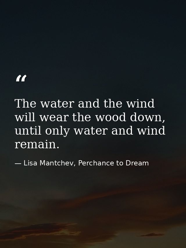 The water and the wind will wear the wood down, until only water and wind remain. — Lisa Mantchev, Perchance to Dream