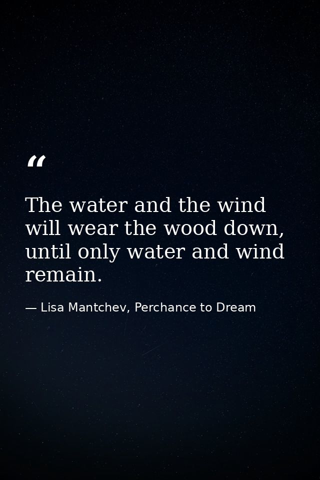 The water and the wind will wear the wood down, until only water and wind remain. — Lisa Mantchev, Perchance to Dream
