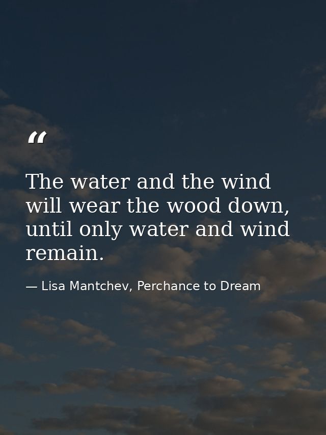 The water and the wind will wear the wood down, until only water and wind remain. — Lisa Mantchev, Perchance to Dream