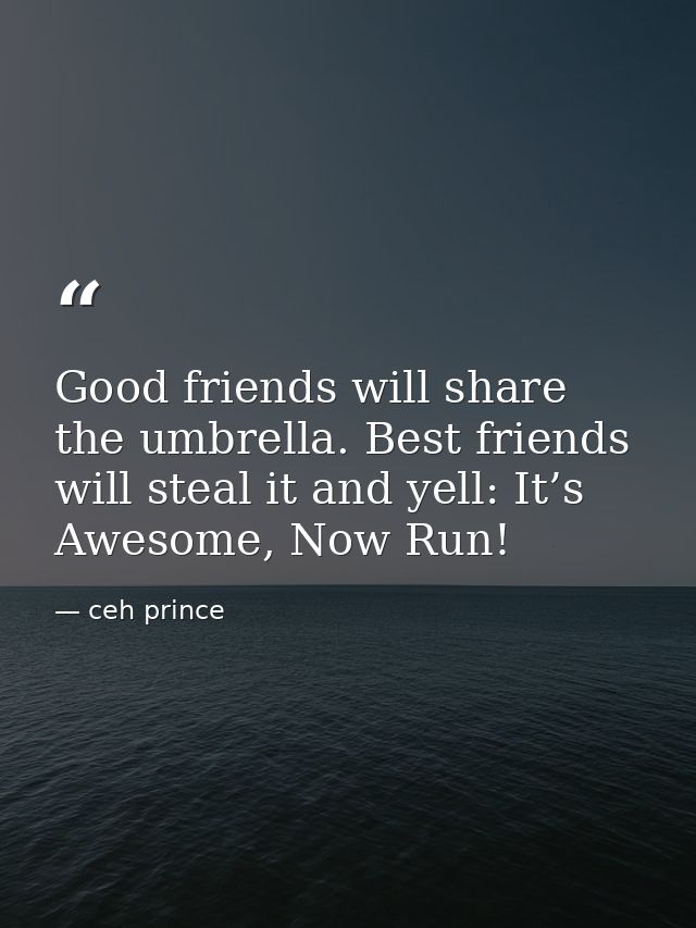 Good friends will share the umbrella. Best friends will steal it and yell: It’s Awesome, Now Run! — ceh prince