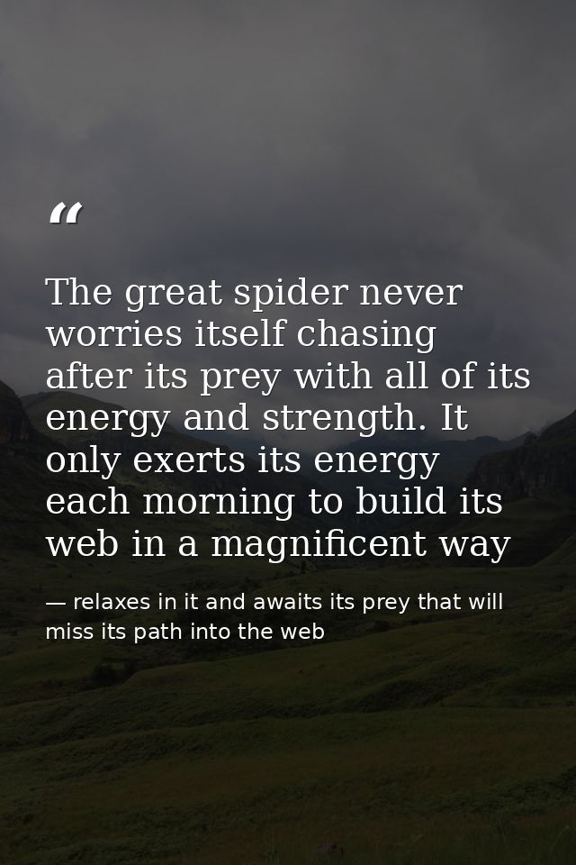 The great spider never worries itself chasing after its prey with all of its energy and strength. It only exerts its ene — relaxes in it and awaits its prey that will miss its path into the web