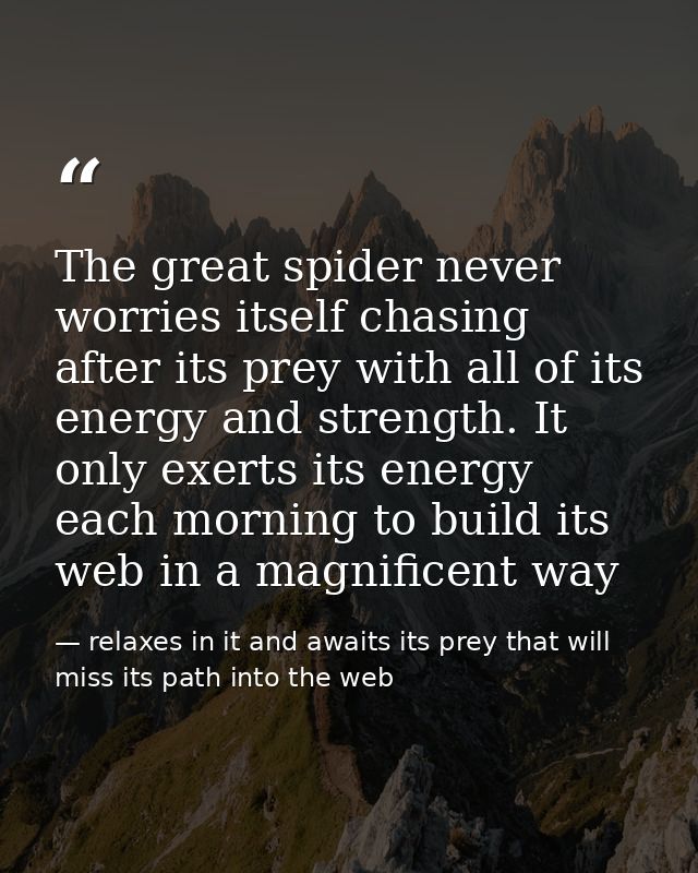 The great spider never worries itself chasing after its prey with all of its energy and strength. It only exerts its ene — relaxes in it and awaits its prey that will miss its path into the web
