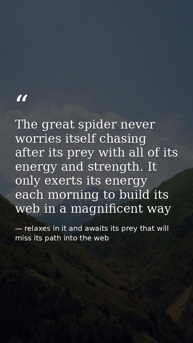 The great spider never worries itself chasing after its prey with all of its energy and strength. It only exerts its ene — relaxes in it and awaits its prey that will miss its path into the web