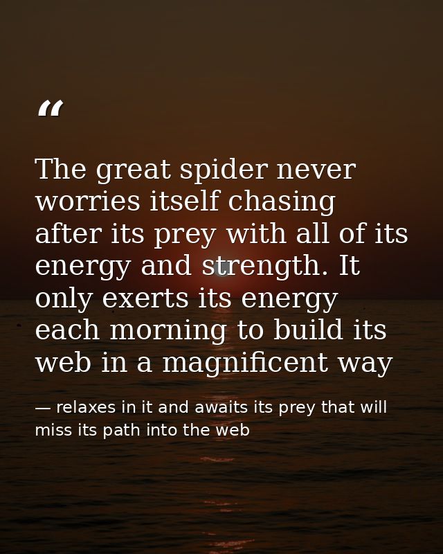 The great spider never worries itself chasing after its prey with all of its energy and strength. It only exerts its ene — relaxes in it and awaits its prey that will miss its path into the web