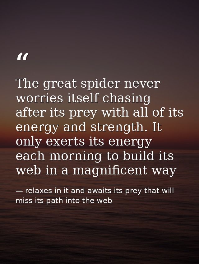 The great spider never worries itself chasing after its prey with all of its energy and strength. It only exerts its ene — relaxes in it and awaits its prey that will miss its path into the web