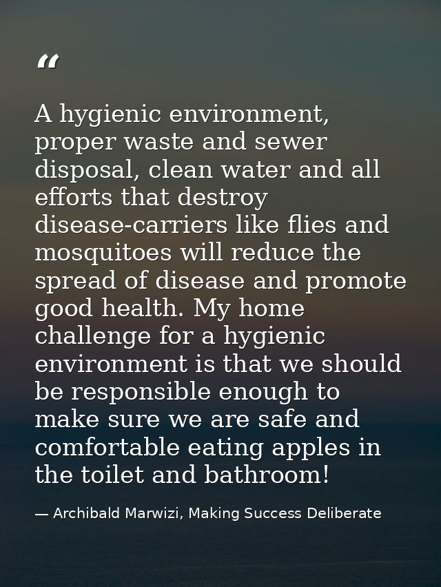 A hygienic environment, proper waste and sewer disposal, clean water and all efforts that destroy disease-carriers like  — Archibald Marwizi, Making Success Deliberate