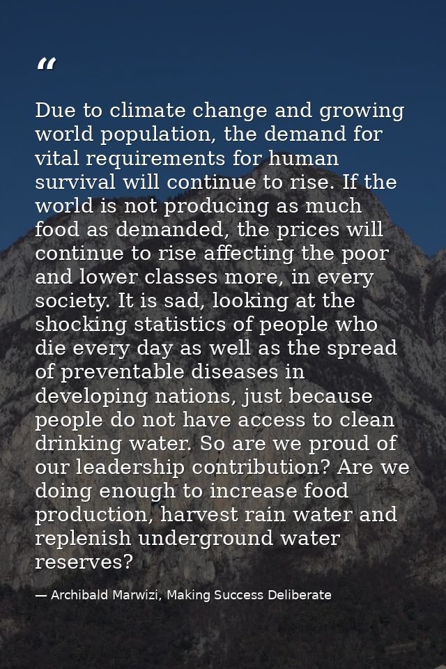 Due to climate change and growing world population, the demand for vital requirements for human survival will continue t — Archibald Marwizi, Making Success Deliberate