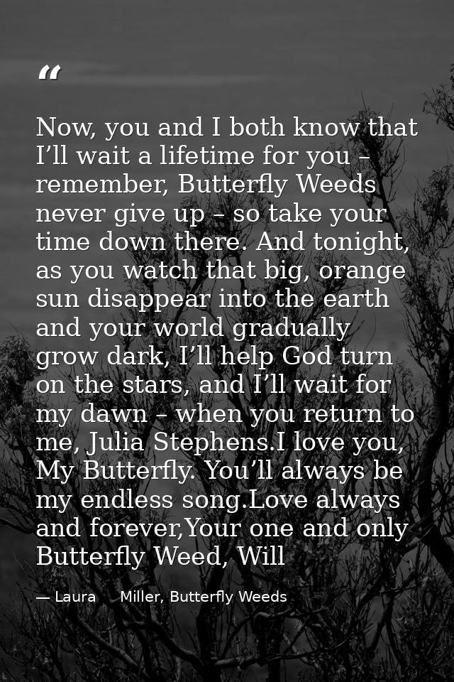 Now, you and I both know that I’ll wait a lifetime for you – remember, Butterfly Weeds never give up – so take your time — Laura     Miller, Butterfly Weeds