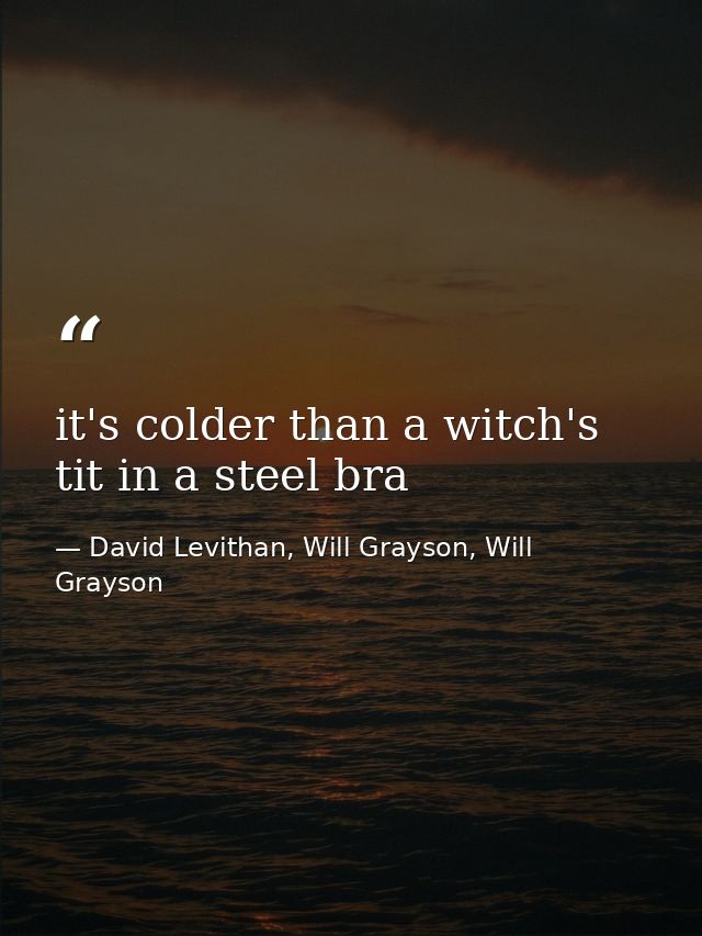 it's colder than a witch's tit in a steel bra — David Levithan, Will Grayson, Will Grayson