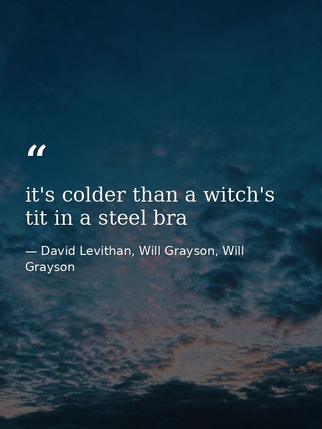 it's colder than a witch's tit in a steel bra — David Levithan, Will Grayson, Will Grayson