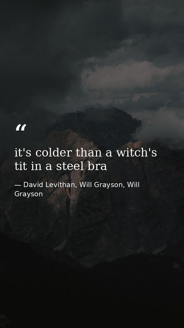 it's colder than a witch's tit in a steel bra — David Levithan, Will Grayson, Will Grayson