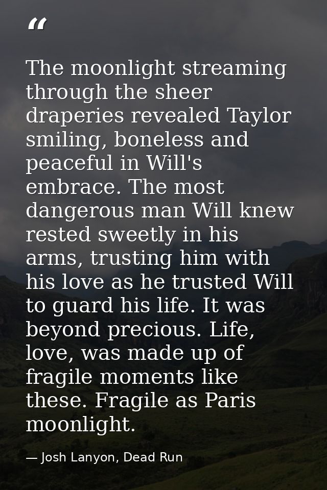 The moonlight streaming through the sheer draperies revealed Taylor smiling, boneless and peaceful in Will's embrace. Th — Josh Lanyon, Dead Run
