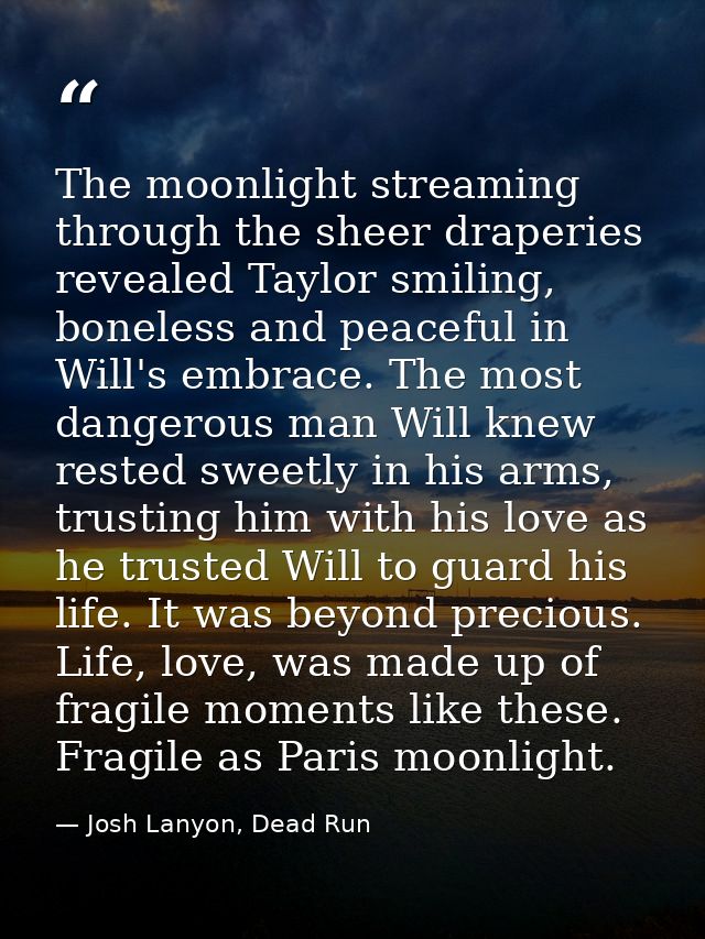 The moonlight streaming through the sheer draperies revealed Taylor smiling, boneless and peaceful in Will's embrace. Th — Josh Lanyon, Dead Run