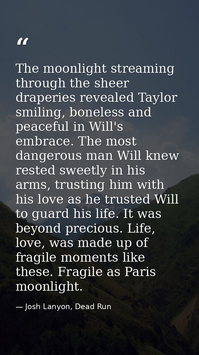 The moonlight streaming through the sheer draperies revealed Taylor smiling, boneless and peaceful in Will's embrace. Th — Josh Lanyon, Dead Run