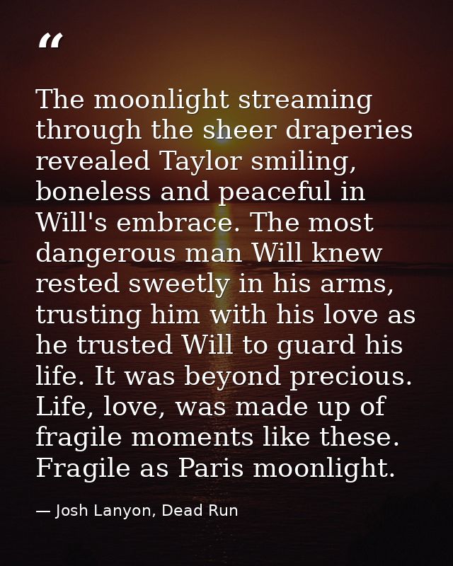 The moonlight streaming through the sheer draperies revealed Taylor smiling, boneless and peaceful in Will's embrace. Th — Josh Lanyon, Dead Run