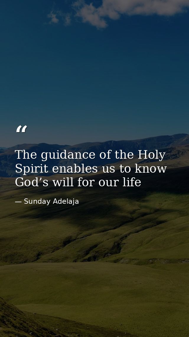 The guidance of the Holy Spirit enables us to know God’s will for our life — Sunday Adelaja