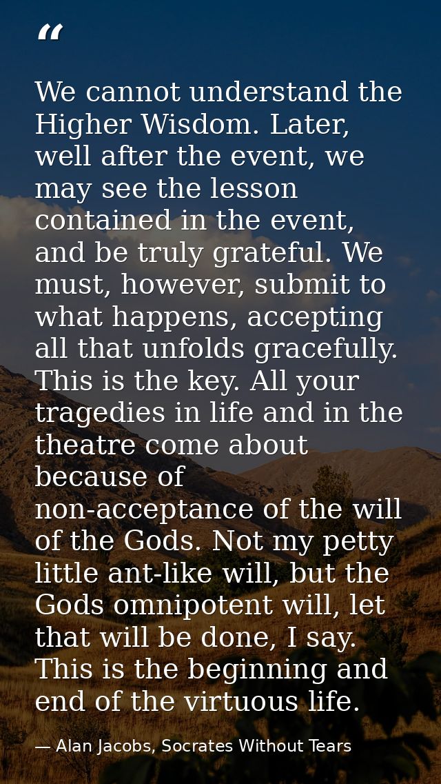 We cannot understand the Higher Wisdom. Later, well after the event, we may see the lesson contained in the event, and b — Alan Jacobs, Socrates Without Tears