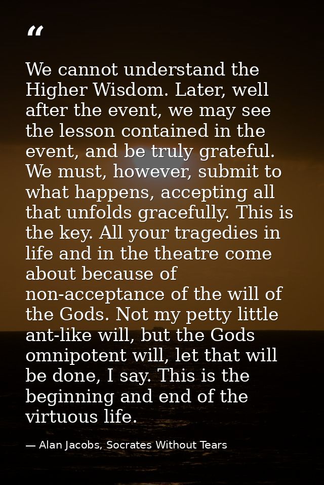 We cannot understand the Higher Wisdom. Later, well after the event, we may see the lesson contained in the event, and b — Alan Jacobs, Socrates Without Tears