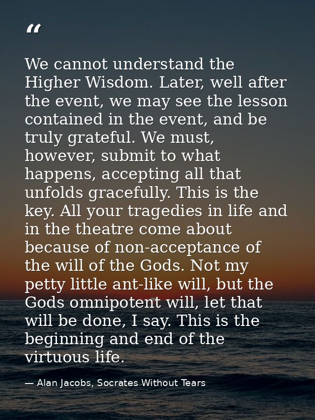 We cannot understand the Higher Wisdom. Later, well after the event, we may see the lesson contained in the event, and b — Alan Jacobs, Socrates Without Tears