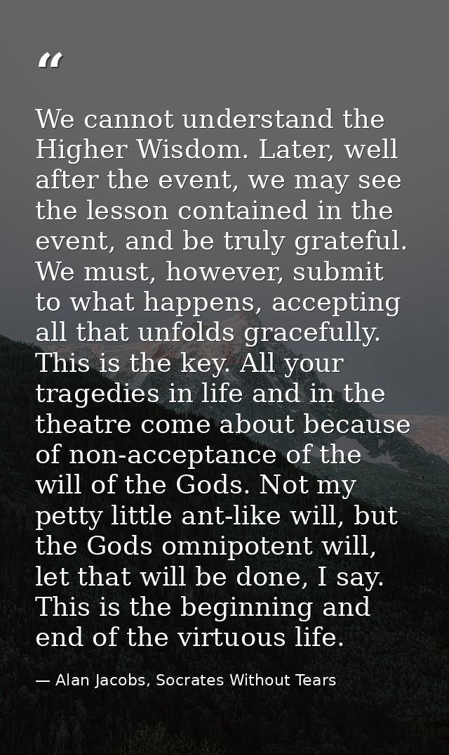 We cannot understand the Higher Wisdom. Later, well after the event, we may see the lesson contained in the event, and b — Alan Jacobs, Socrates Without Tears