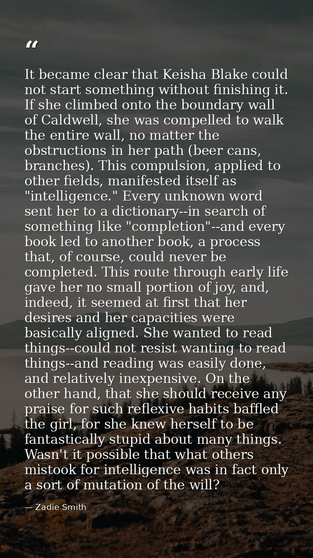 It became clear that Keisha Blake could not start something without finishing it. If she climbed onto the boundary wall  — Zadie Smith