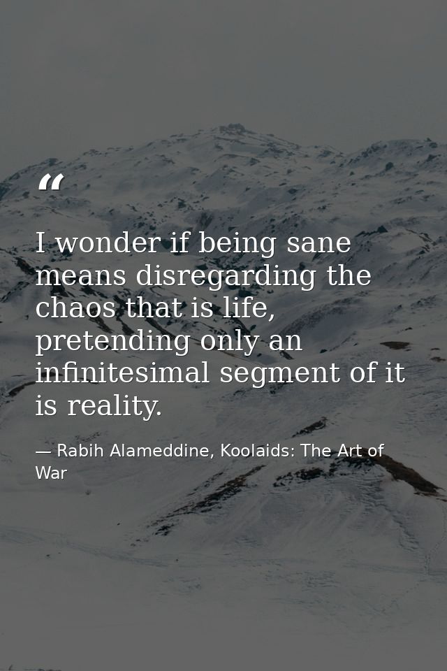 I wonder if being sane means disregarding the chaos that is life, pretending only an infinitesimal segment of it is real — Rabih Alameddine, Koolaids: The Art of War