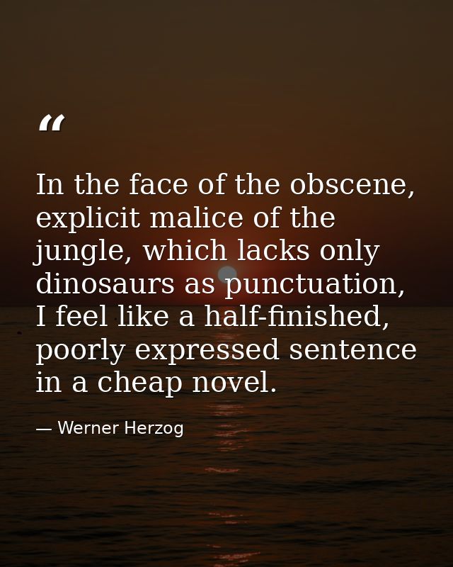 In the face of the obscene, explicit malice of the jungle, which lacks only dinosaurs as punctuation, I feel like a half — Werner Herzog