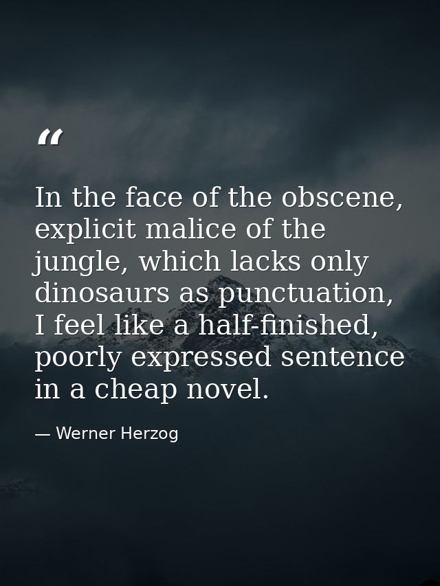 In the face of the obscene, explicit malice of the jungle, which lacks only dinosaurs as punctuation, I feel like a half — Werner Herzog