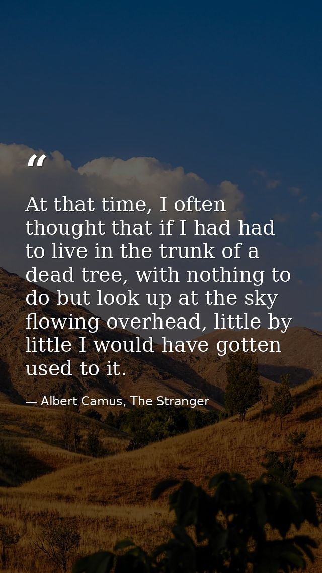 At that time, I often thought that if I had had to live in the trunk of a dead tree, with nothing to do but look up at t — Albert Camus, The Stranger