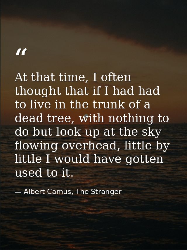 At that time, I often thought that if I had had to live in the trunk of a dead tree, with nothing to do but look up at t — Albert Camus, The Stranger