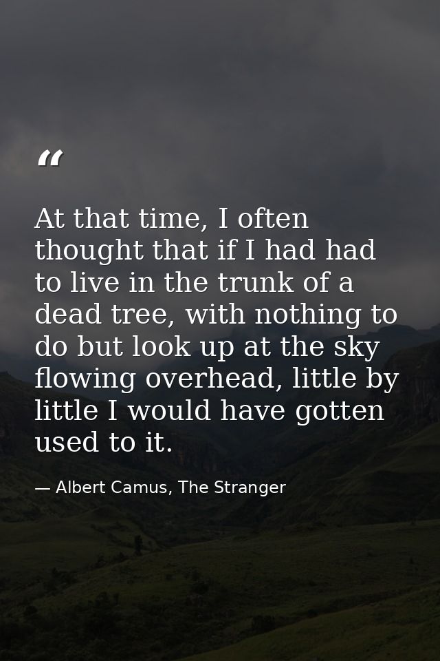 At that time, I often thought that if I had had to live in the trunk of a dead tree, with nothing to do but look up at t — Albert Camus, The Stranger