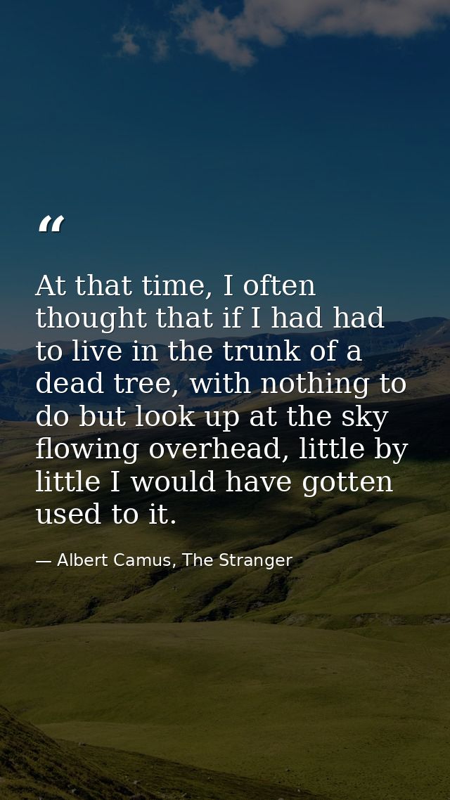 At that time, I often thought that if I had had to live in the trunk of a dead tree, with nothing to do but look up at t — Albert Camus, The Stranger