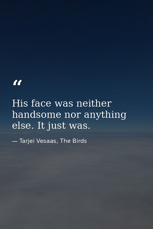 His face was neither handsome nor anything else. It just was. — Tarjei Vesaas, The Birds