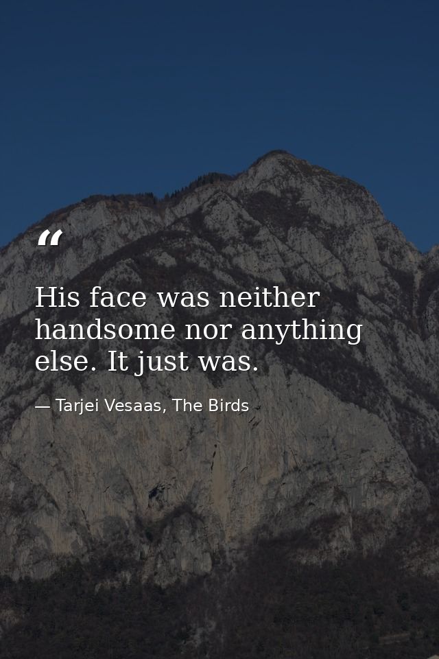 His face was neither handsome nor anything else. It just was. — Tarjei Vesaas, The Birds
