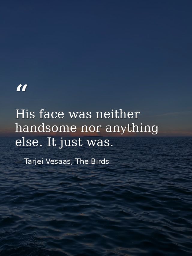 His face was neither handsome nor anything else. It just was. — Tarjei Vesaas, The Birds