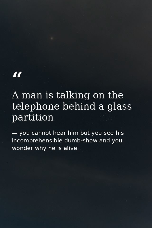 A man is talking on the telephone behind a glass partition — you cannot hear him but you see his incomprehensible dumb-show and you wonder why he is alive.