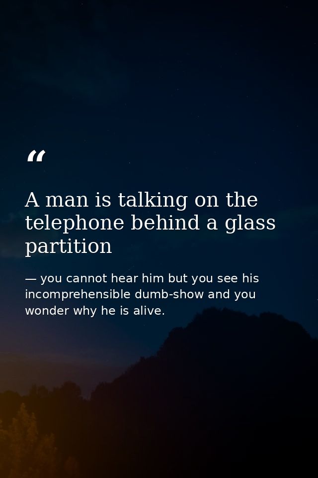 A man is talking on the telephone behind a glass partition — you cannot hear him but you see his incomprehensible dumb-show and you wonder why he is alive.